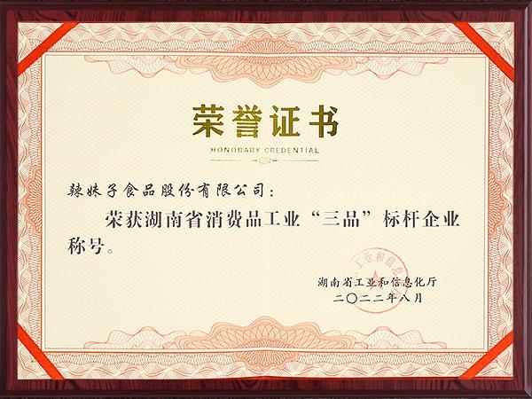 榮譽證書